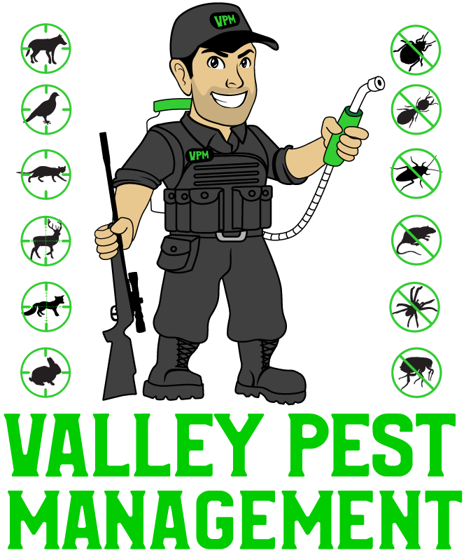 Valley Pest Management