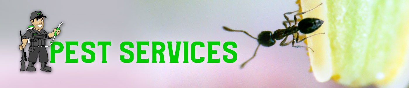 pest services